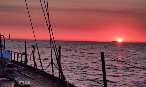 IMG20230705044150-scaled